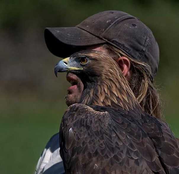 images/gallery/sightgags/HawkFace.jpg