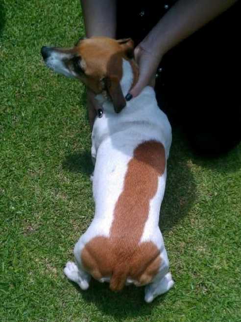 images/gallery/sightgags/HisNameIsDick.jpg