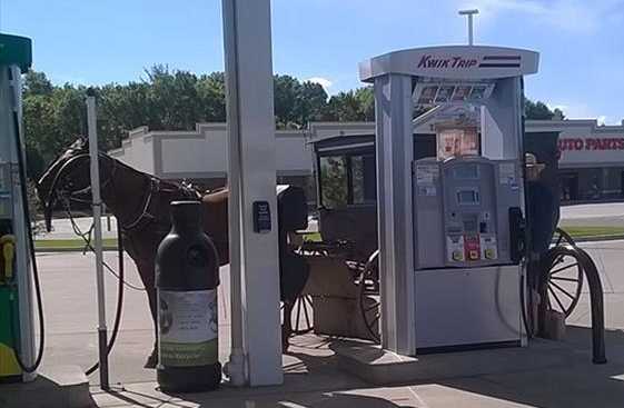 images/gallery/sightgags/HorseAndBuggyGas.jpg