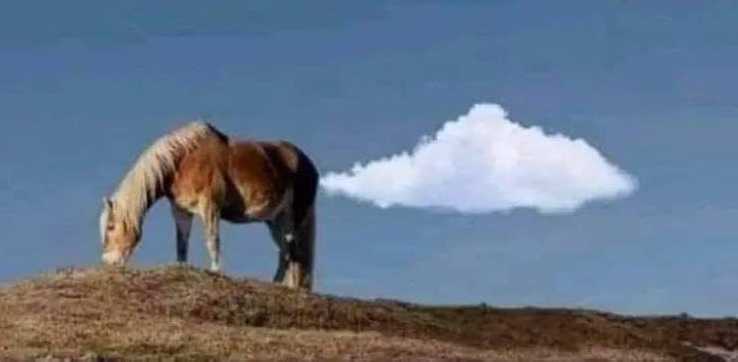 images/gallery/sightgags/HorseFart.jpg