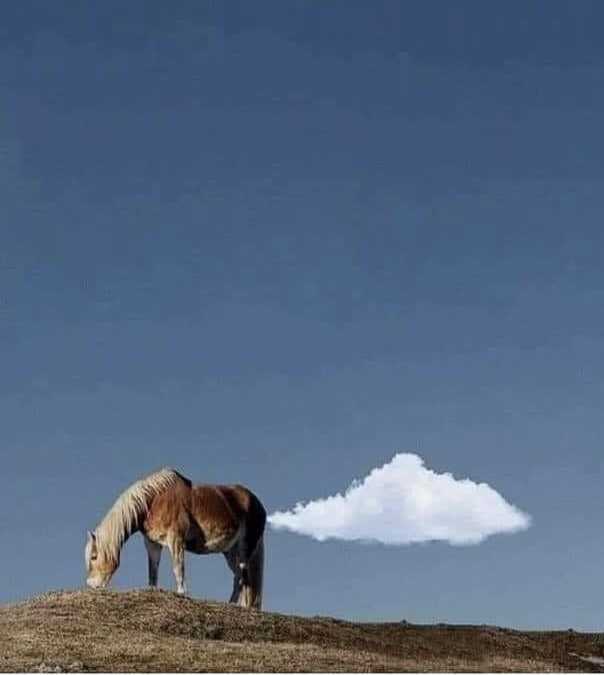 images/gallery/sightgags/HorseFartCloud.jpg