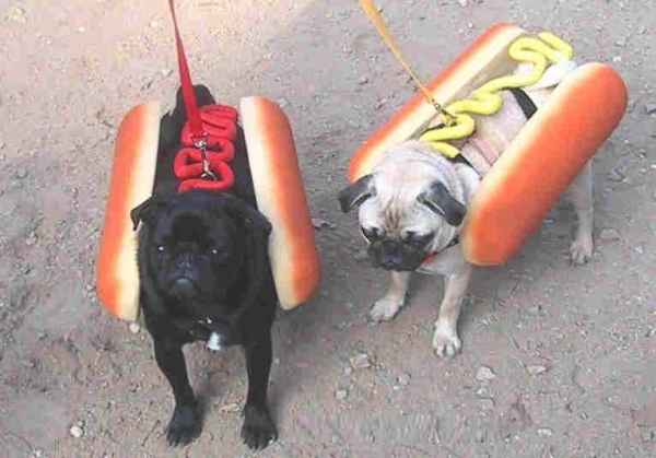 images/gallery/sightgags/HotDogs.jpg