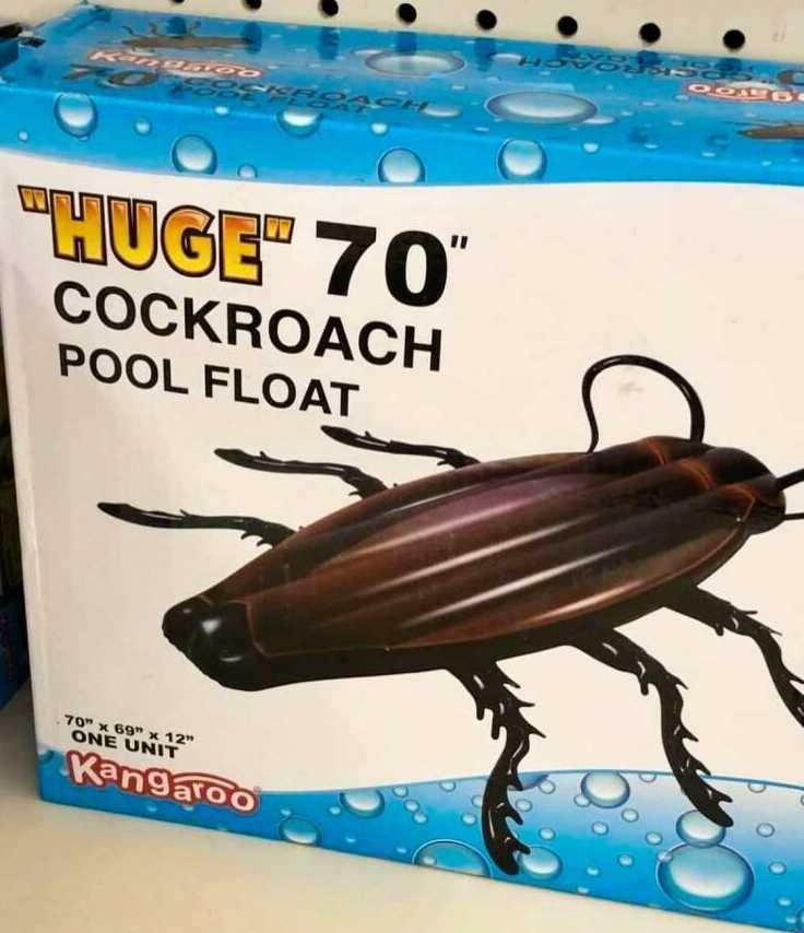 images/gallery/sightgags/HugeRoach.jpg