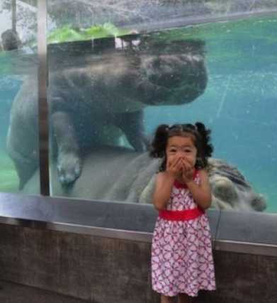 images/gallery/sightgags/HumpingHippos.jpg