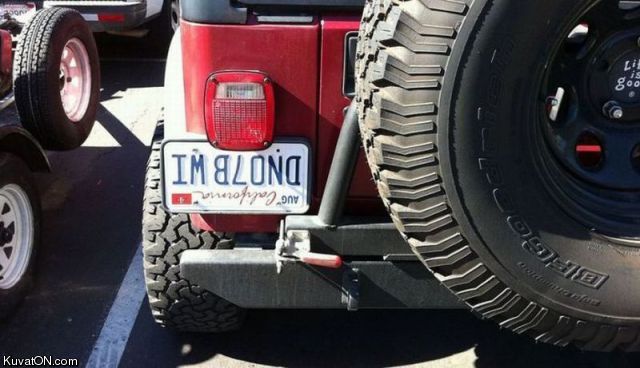 images/gallery/sightgags/ImBlondLicensePlate.jpg