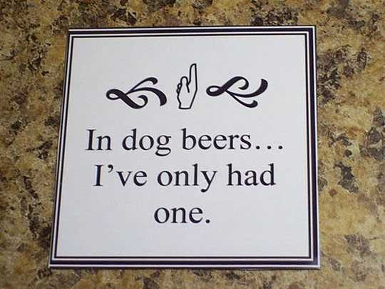 images/gallery/sightgags/InDogBeers.jpg