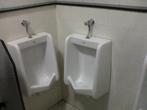 images/gallery/sightgags/IntimateUrinals.jpg