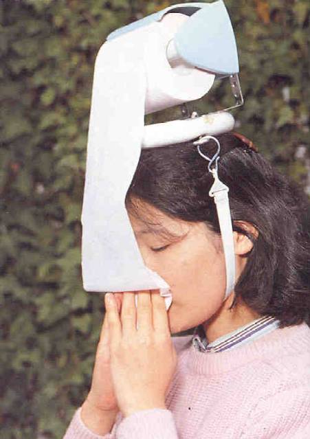 images/gallery/sightgags/JapaneseTPkleenex.jpg