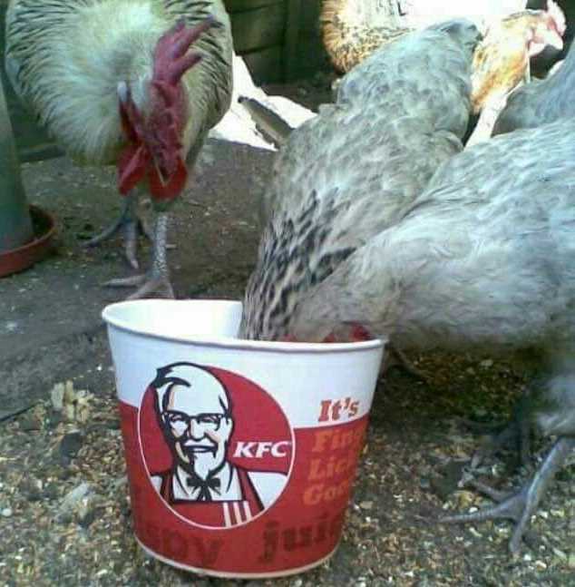 images/gallery/sightgags/KFC.jpg