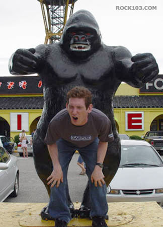 images/gallery/sightgags/Konghole.jpg