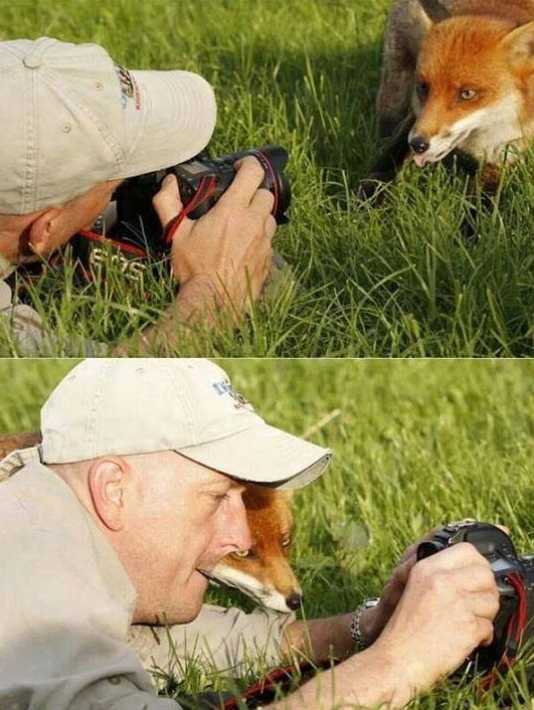 images/gallery/sightgags/LemmeSee.jpg