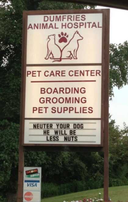 images/gallery/sightgags/LessNuts.jpg