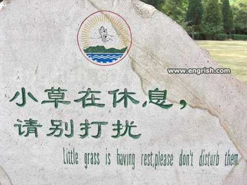 images/gallery/sightgags/LittleGrassRests.jpg