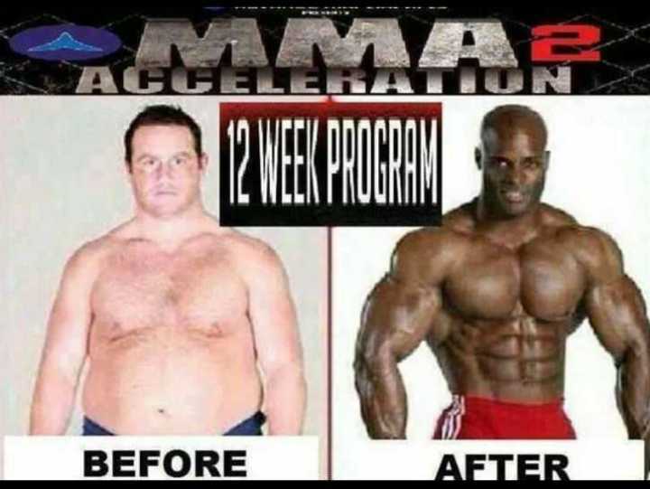 images/gallery/sightgags/MMA2Acceleration.jpg