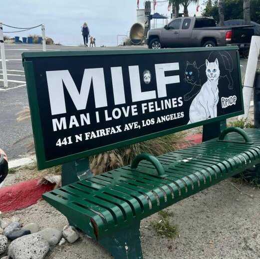 images/gallery/sightgags/ManILoveFelines.jpg