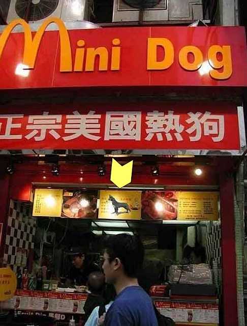 images/gallery/sightgags/MiniDogDog.jpg