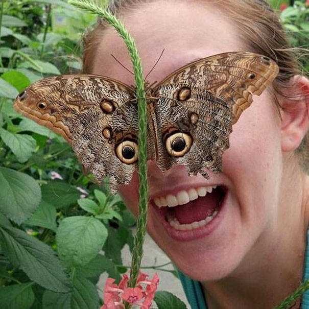 images/gallery/sightgags/MothEyes.jpg