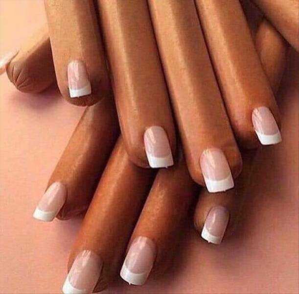 images/gallery/sightgags/NailDogs.jpg