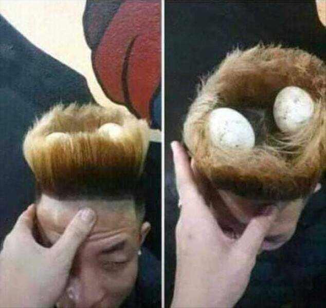 images/gallery/sightgags/NestHair.jpg