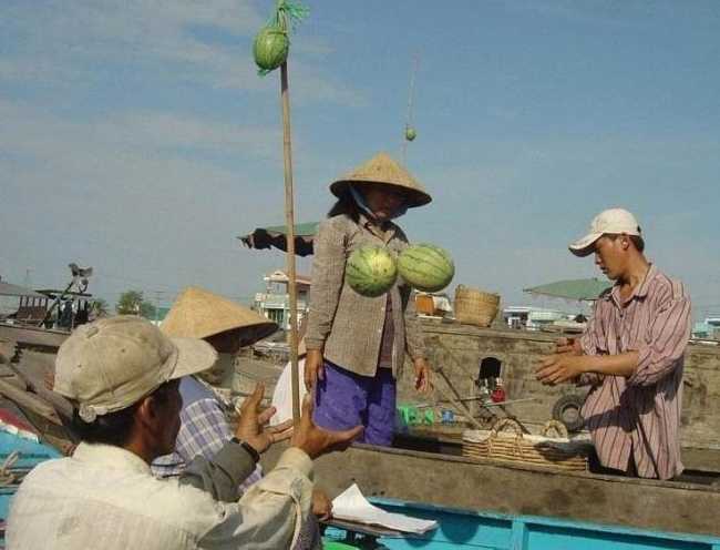 images/gallery/sightgags/NiceMelons.jpg
