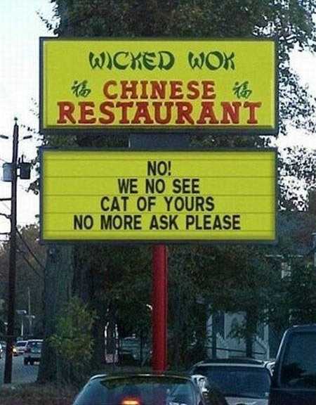 images/gallery/sightgags/NoSeeCat.jpg