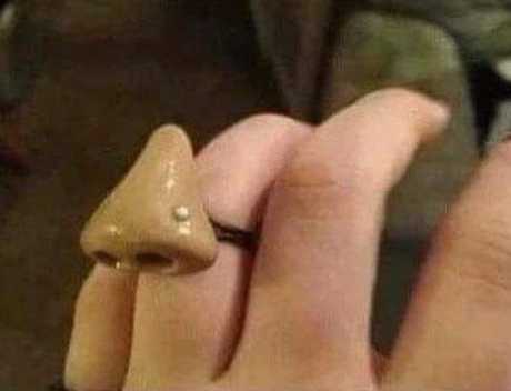 images/gallery/sightgags/NoseRing.jpg