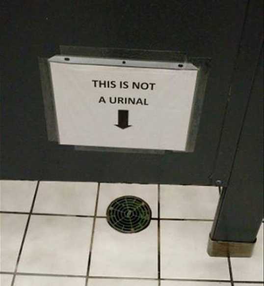 images/gallery/sightgags/NotAUrinal.jpg