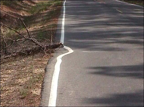 images/gallery/sightgags/NotMyJob3.jpg