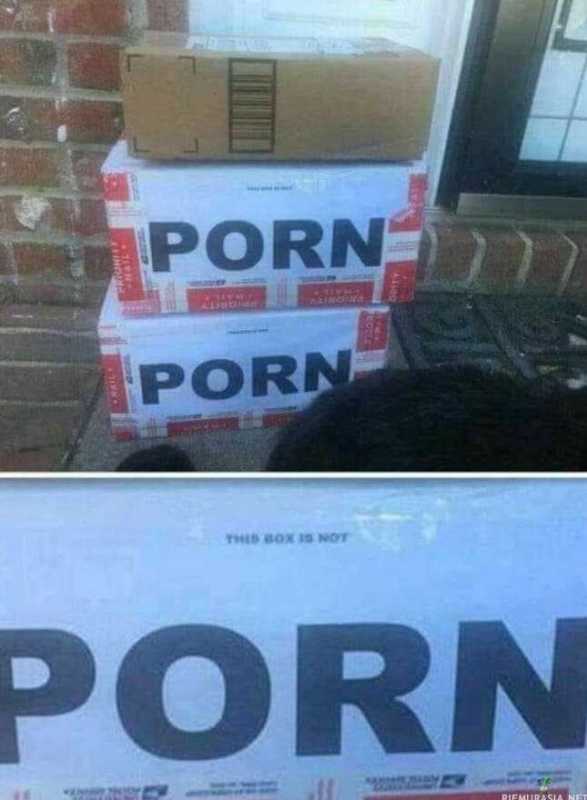 images/gallery/sightgags/NotPorn.jpg