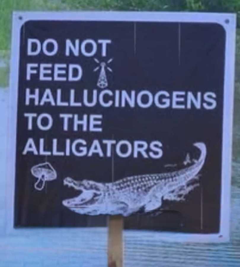 images/gallery/sightgags/OnlyInFlorida.jpg