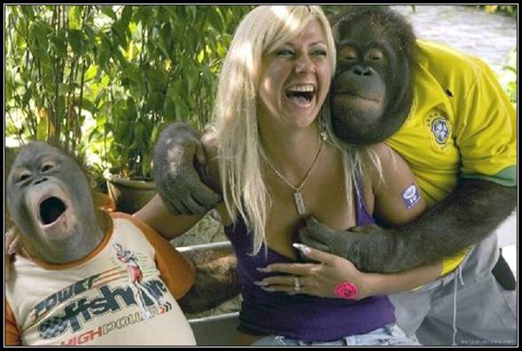 images/gallery/sightgags/OrangatanCopsFeel.jpg