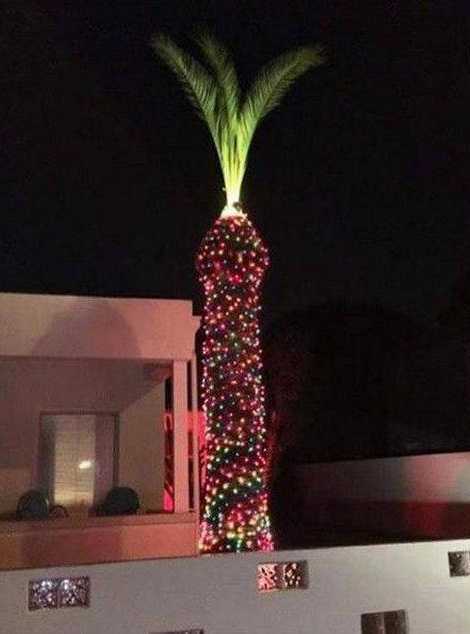 images/gallery/sightgags/PenisXmas.jpg
