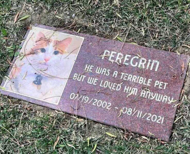 images/gallery/sightgags/Peregrin.jpg