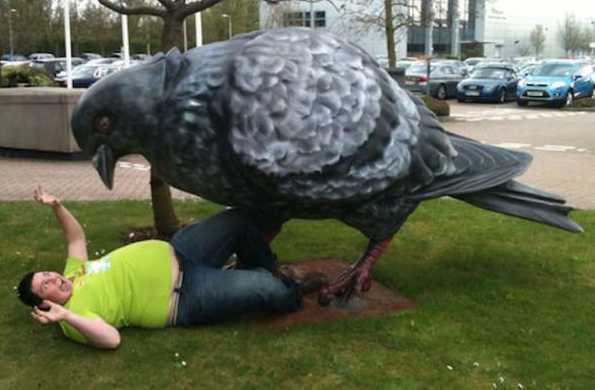 images/gallery/sightgags/PigeonBait.jpg
