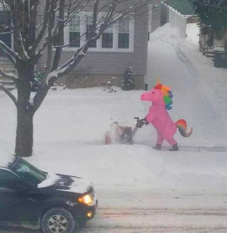 images/gallery/sightgags/PonyBlower.jpg
