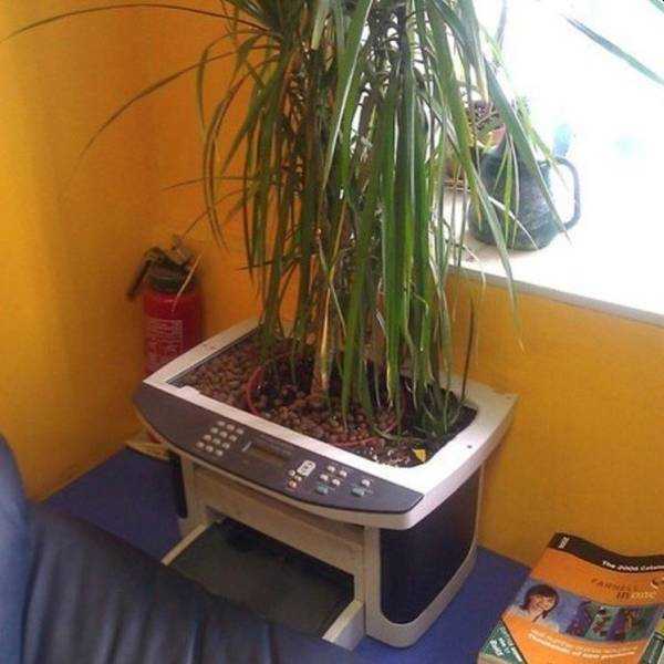 images/gallery/sightgags/PrinterPlanter.jpg