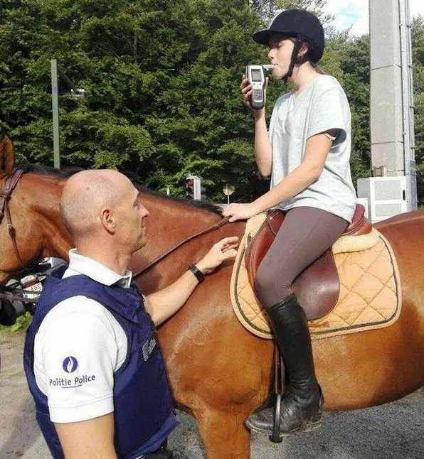 images/gallery/sightgags/RWI.jpg