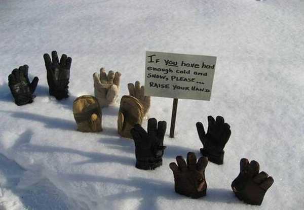 images/gallery/sightgags/RaiseYourHand.jpg