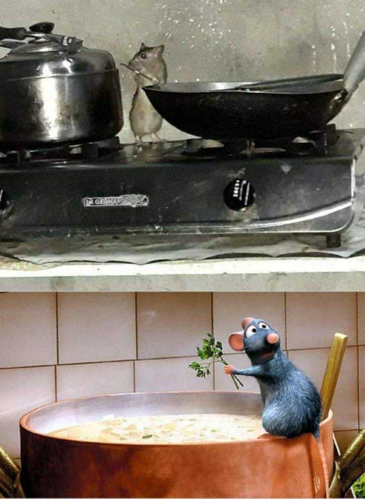 images/gallery/sightgags/Ratatouille.jpg