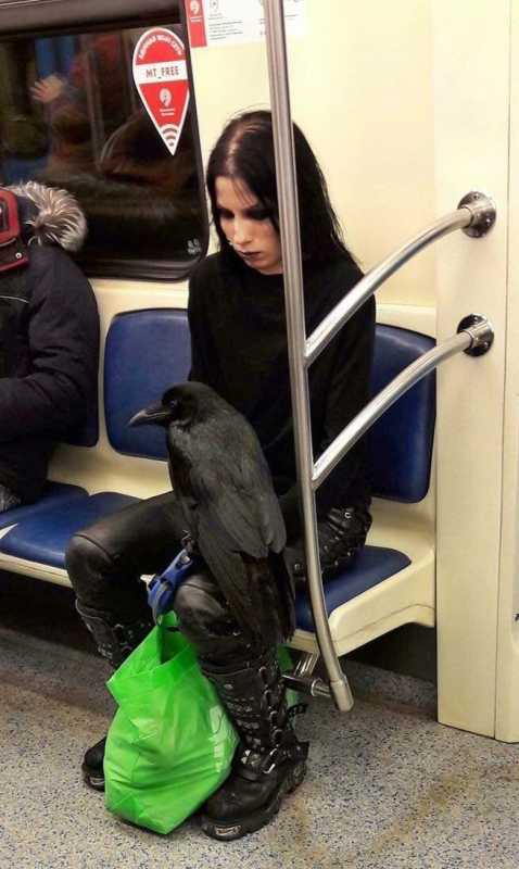 images/gallery/sightgags/RavenSubway.jpg