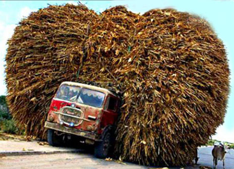 images/gallery/sightgags/ReallyOverloaded.jpg