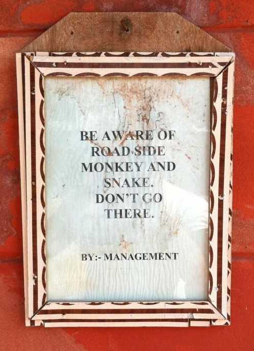 images/gallery/sightgags/RoadsideMonkey.jpg
