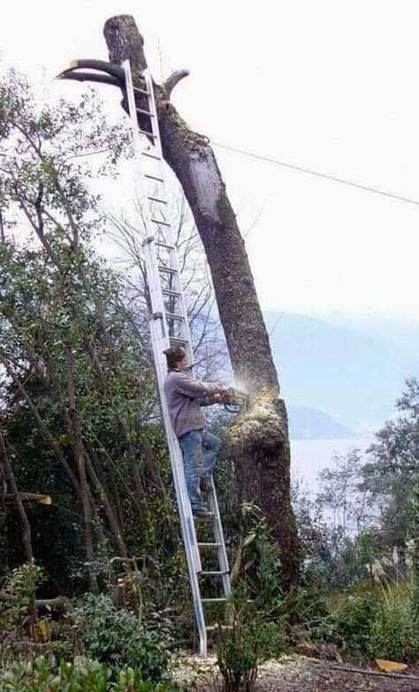 images/gallery/sightgags/SafetyFirst109.jpg