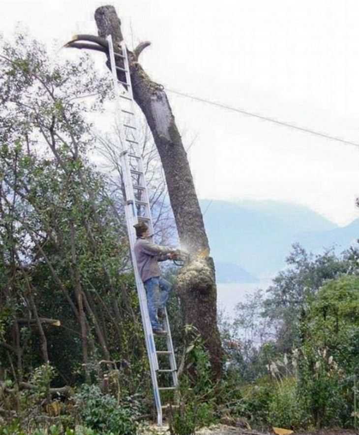 images/gallery/sightgags/SafetyFirst146.jpg