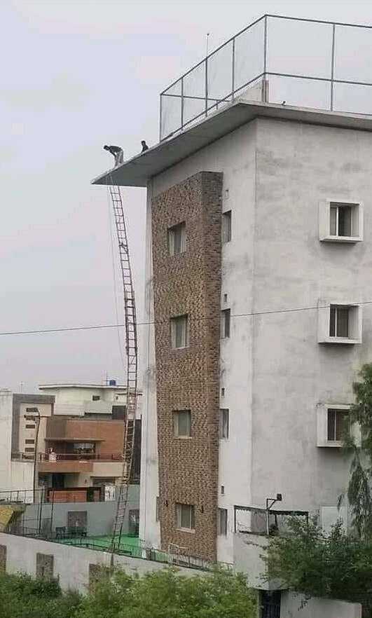 images/gallery/sightgags/SafetyFirst188.jpg