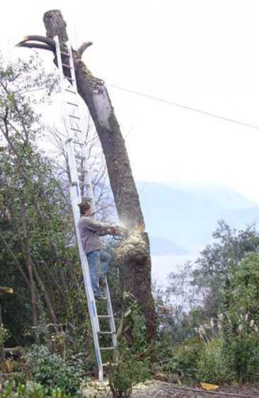 images/gallery/sightgags/SafetyFirst27.jpg