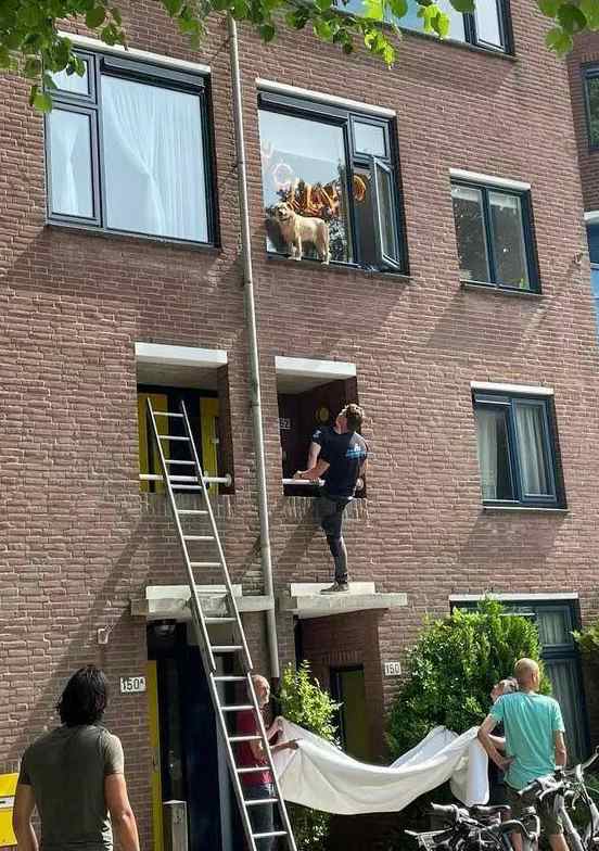 images/gallery/sightgags/SaveMyDog.jpg