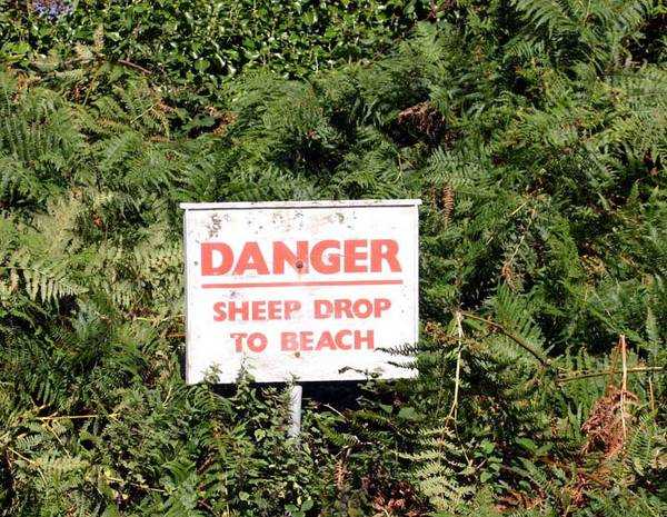 images/gallery/sightgags/SheepDrop.jpg
