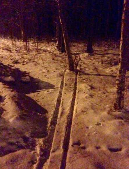 images/gallery/sightgags/SkiTrails.jpg