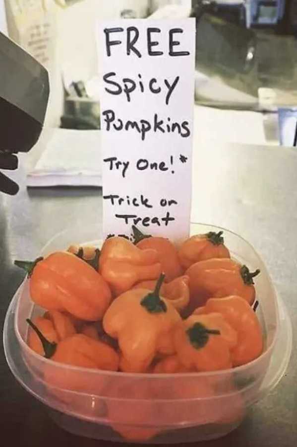 images/gallery/sightgags/SpicyPumpkins.jpg